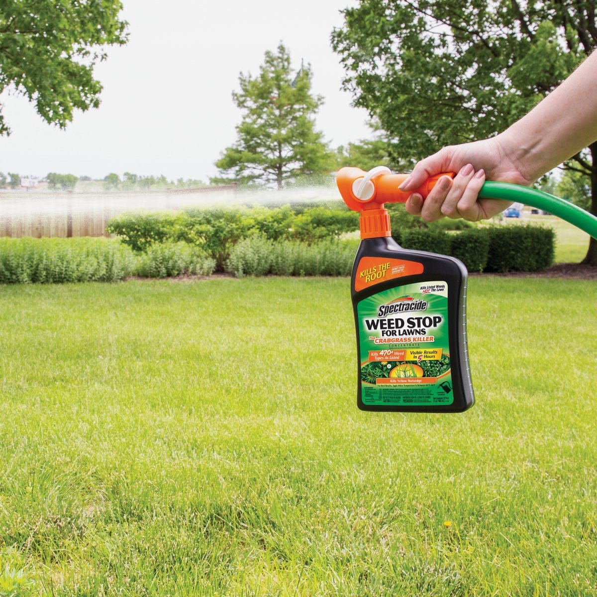 Spectracide Weed Stop For Lawns Plus Crabgrass Killer Concentrate 32 Oz. Ready To Spray Hose End Weed Killer - photo 3 Spectracide Weed Stop For Lawns Plus Crabgrass Killer Concentrate 32 Oz. Ready To Spray Hose End Weed Killer - photo 3