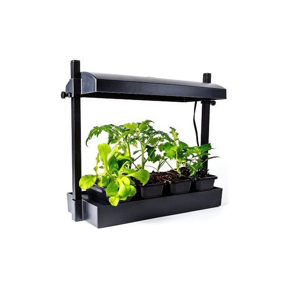 SunBlaster Micro LED Grow Light Garden
