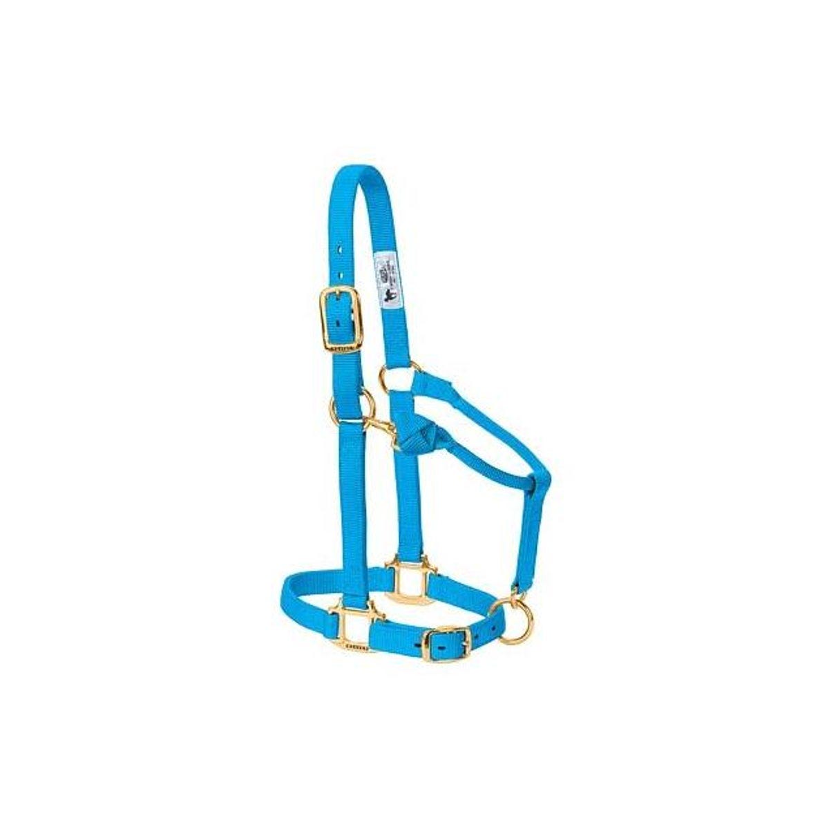 Weaver Leather 1 In. Blue Nylon Snap Halter, Average Size Horse