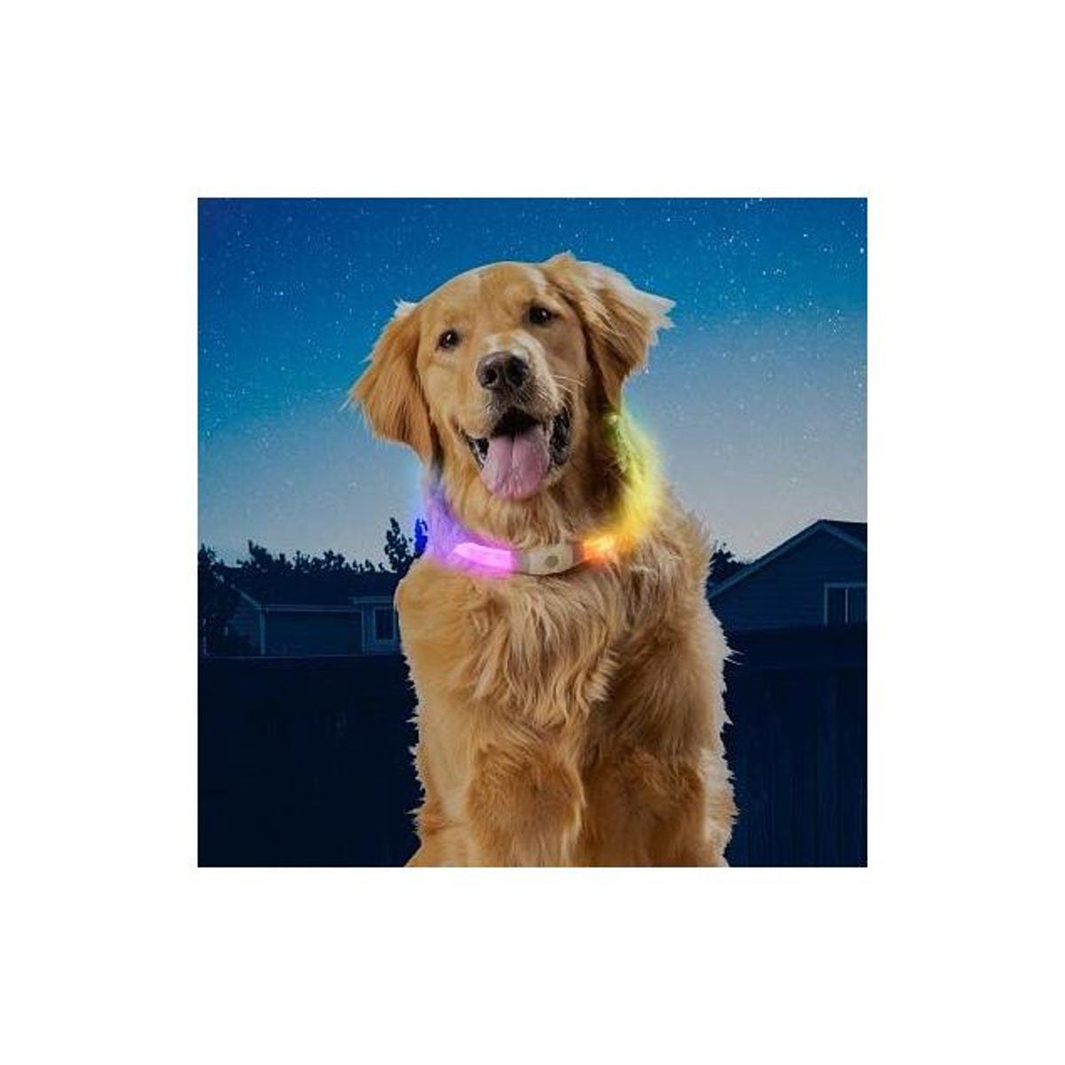 Nite Ize NiteHowl Disc-O Select Colors Max Rechargeable LED Safety Lighted Necklace - photo 2