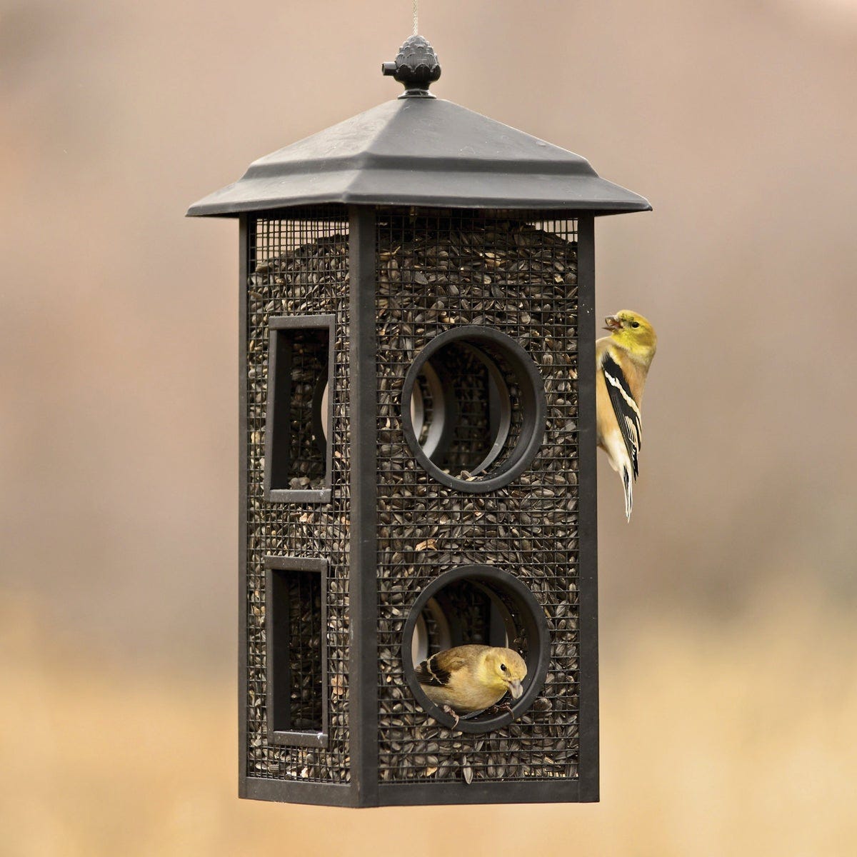 Perky Pet 2 Lb. Capacity Fly-Thru Bird Feeder - photo 3 Perky Pet 2 Lb. Capacity Fly-Thru Bird Feeder - photo 3