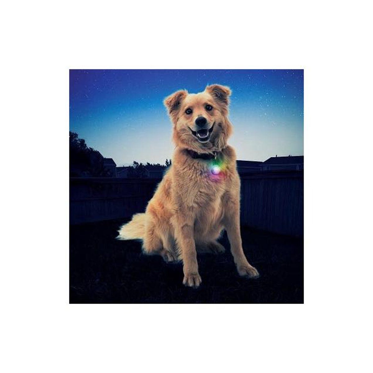 Nite Ize SpotLit Disc-O Select Multi-Color Dog Collar Light - photo 3