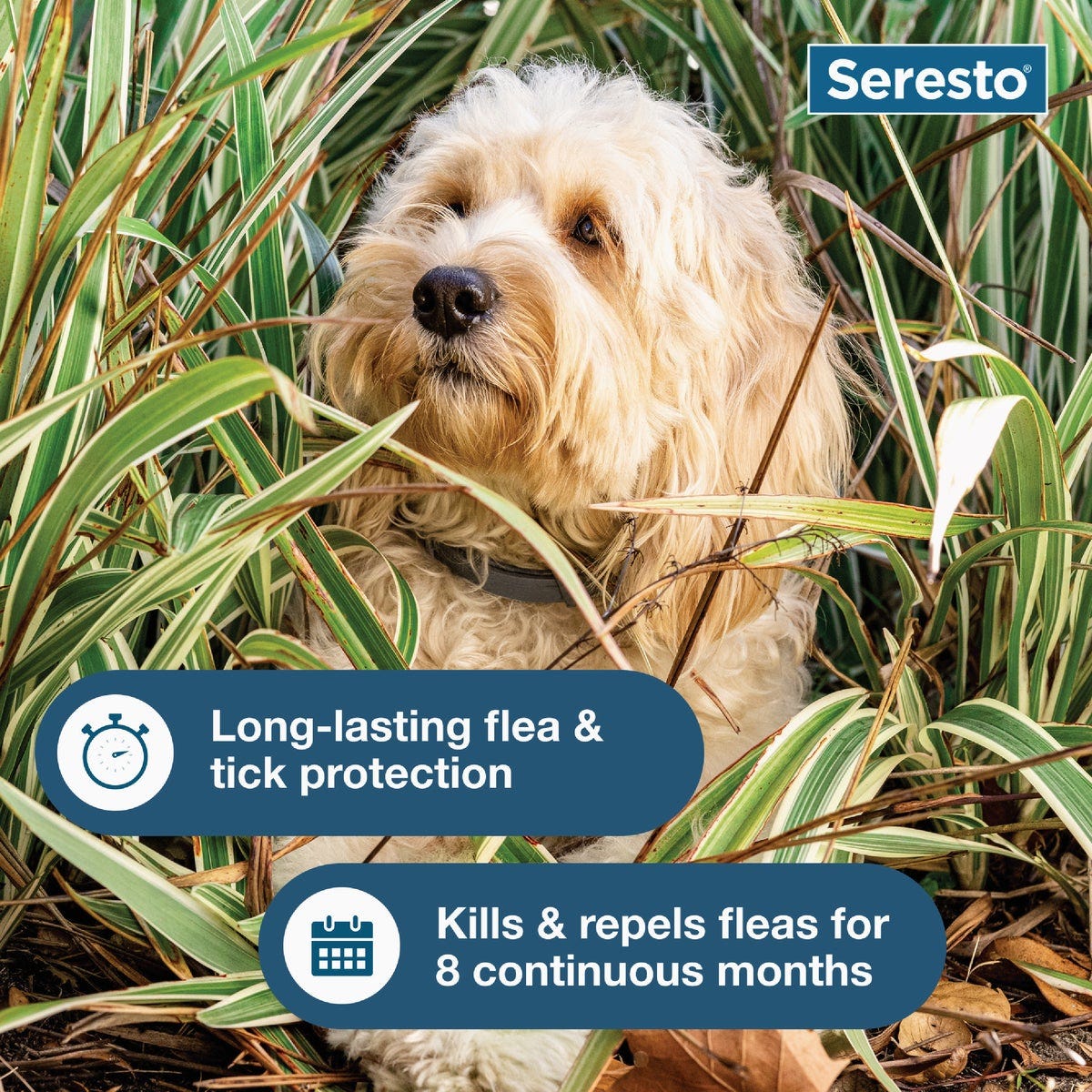 Seresto 8 Month Flea & Tick Collar for Dogs Up to 18 Lb. - photo 4 Seresto 8 Month Flea & Tick Collar for Dogs Up to 18 Lb. - photo 4