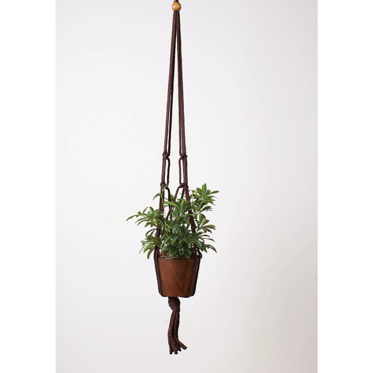 Primitive Planters 36 In. Macrame Plant Hanger - photo 6 Primitive Planters 36 In. Macrame Plant Hanger - photo 6