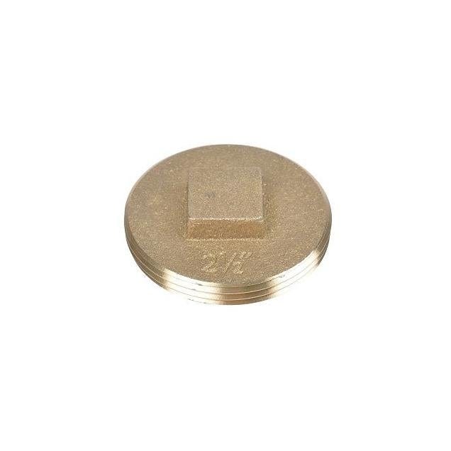 Oatey 2-1/2 In. Raised Head Brass Plug