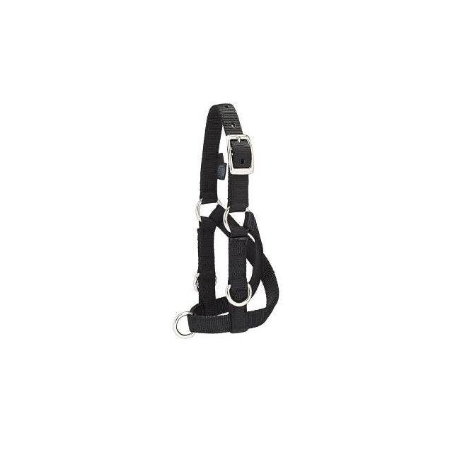 Weaver Leather Black 80 to 140 Lb. Small Sheep/Goat Training Halter