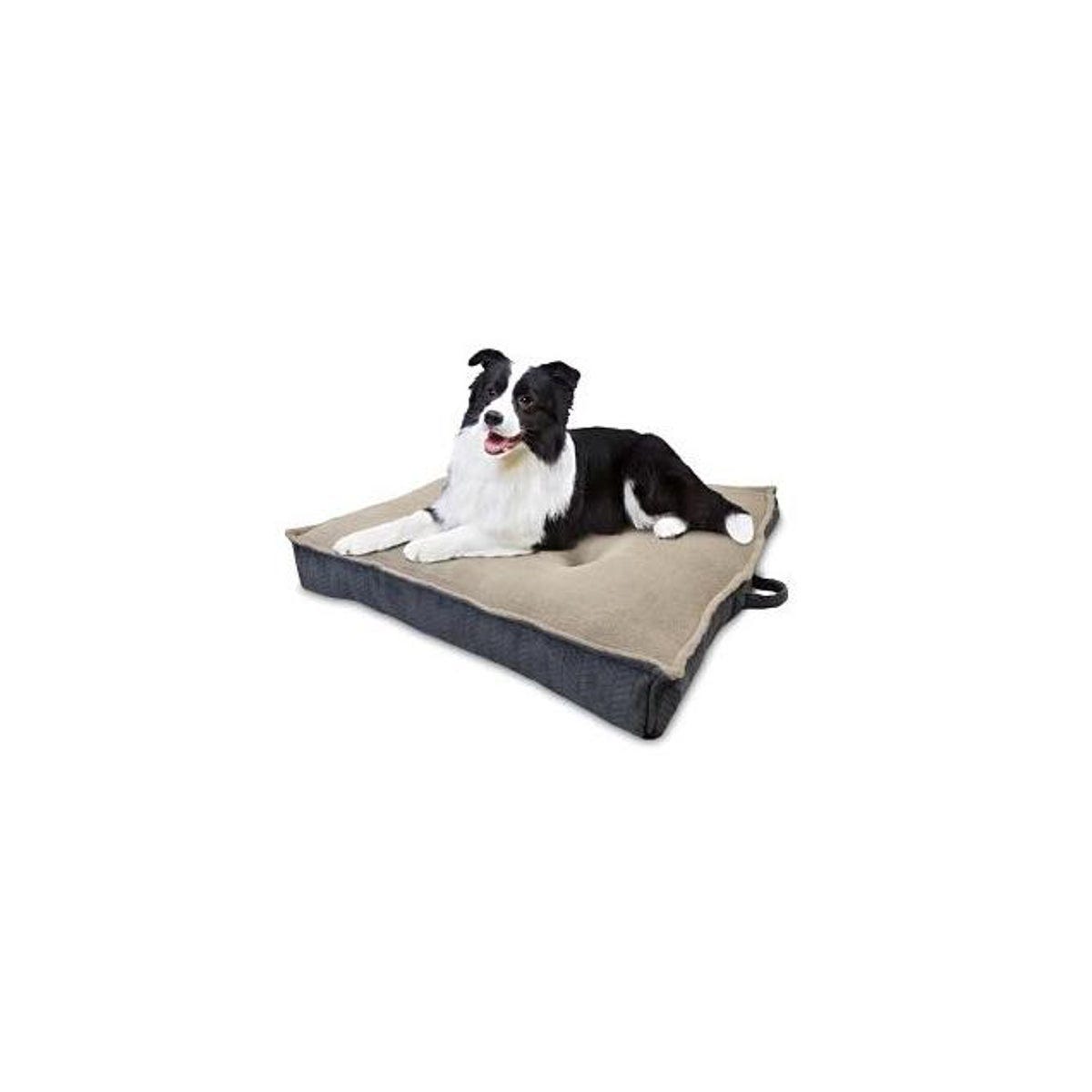 American Kennel Club 36 In. Square Assorted Colors Jumbo Extra-Dense Pet Bed