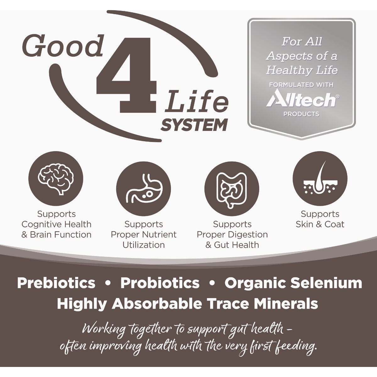 NutriSouce 26 Lb. High Plains Select Recipe Grain Free Dog Food - photo 5