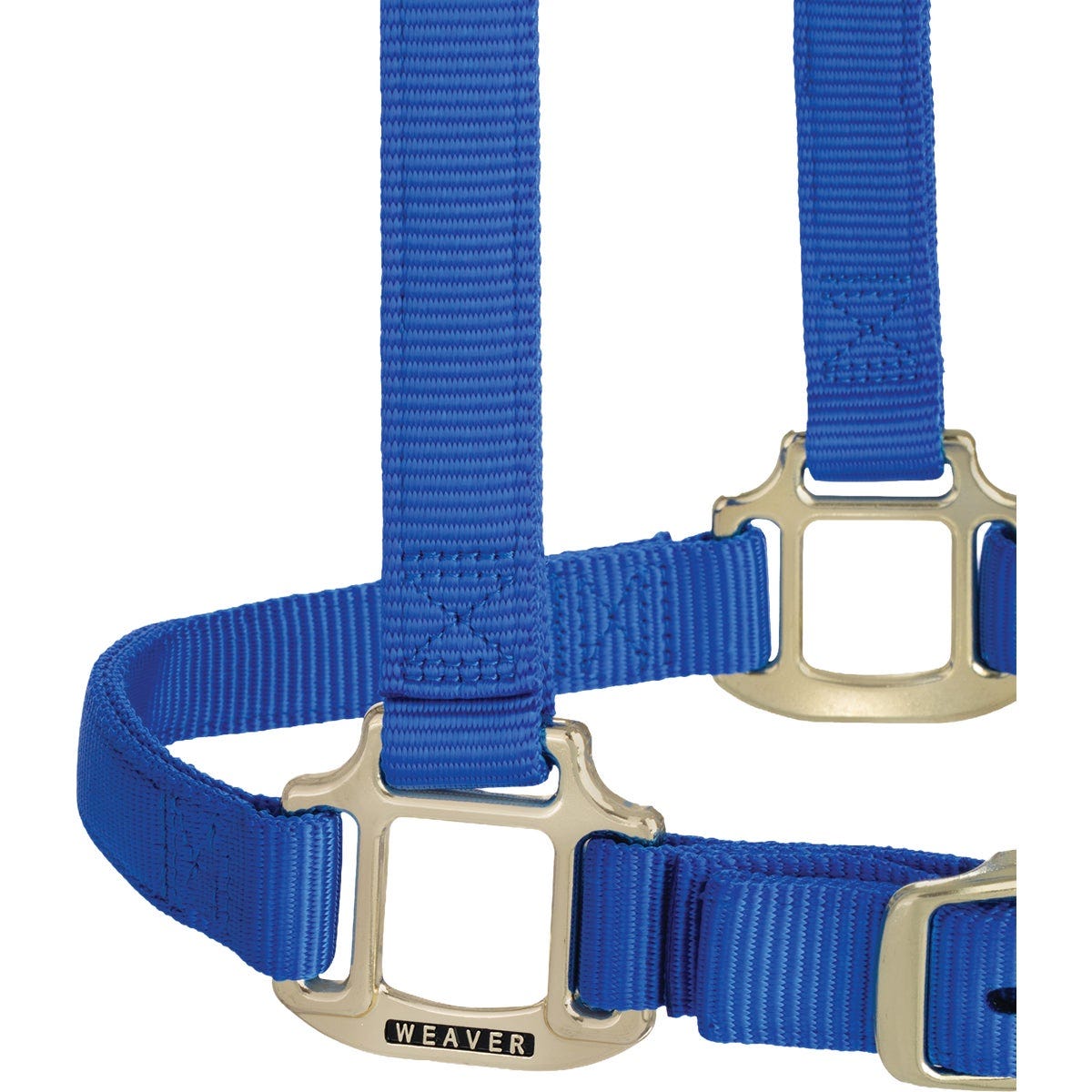 Weaver Equine 3/4 In. Large Blue Adjustable Halter - photo 2 Weaver Equine 3/4 In. Large Blue Adjustable Halter - photo 2