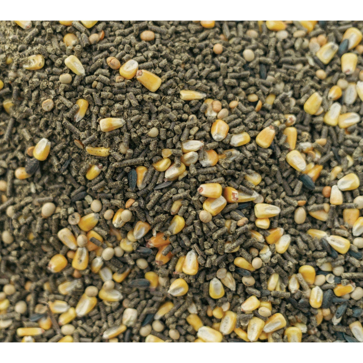 Big Buck Magnet The Harvest Blend 40 Lb. Deer Feed - photo 3 Big Buck Magnet The Harvest Blend 40 Lb. Deer Feed - photo 3