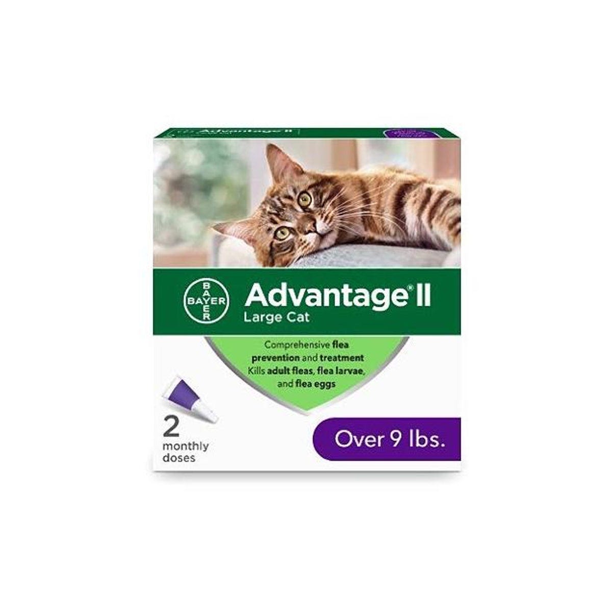 Advantage II Flea Prevention for Over 9 Lb. Large Cats (2-Pack)