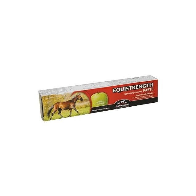 First Companion 1 Oz. Equistrength Paste, Apple Flavor