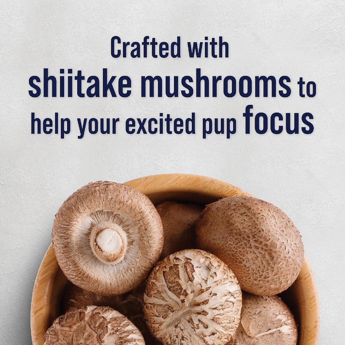 Stewart Focus 8 Oz. Freeze-Fried Salmon Dog Treat - photo 2