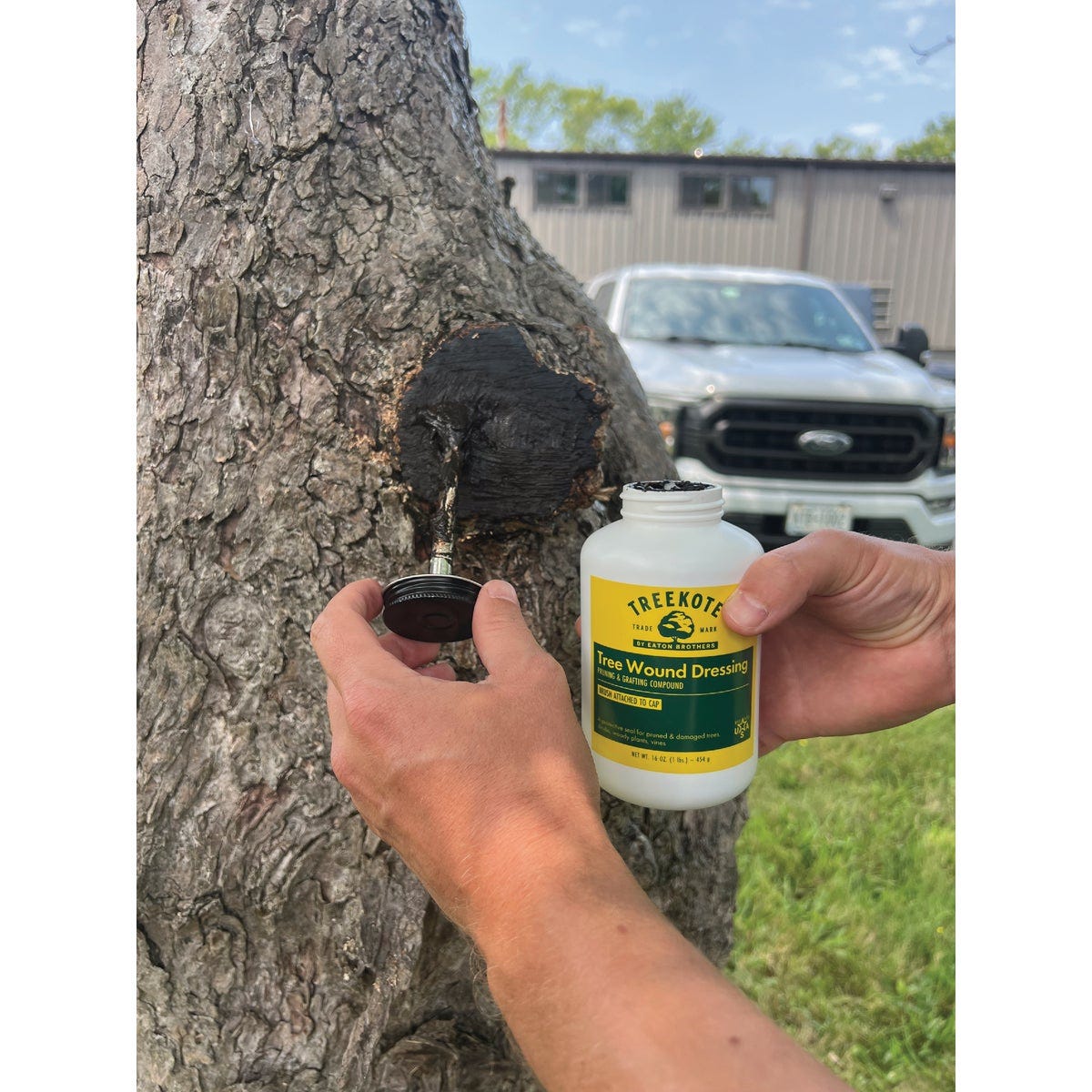 Treekote 16 Oz. Brushtop Applicator Tree Wound Dressing - photo 3