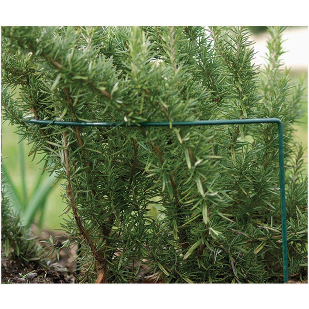 Luster Leaf 16 In. x 40 In. Plant Prop Up Support - photo 3 Luster Leaf 16 In. x 40 In. Plant Prop Up Support - photo 3