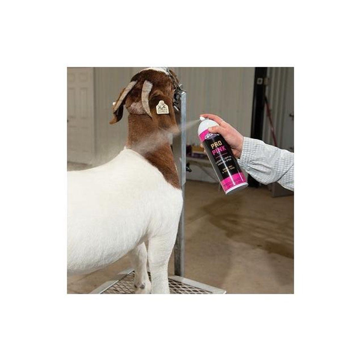 Weaver Livestock 14 Oz. Luster's Pro Pink Finishing Sheen Spray - photo 3