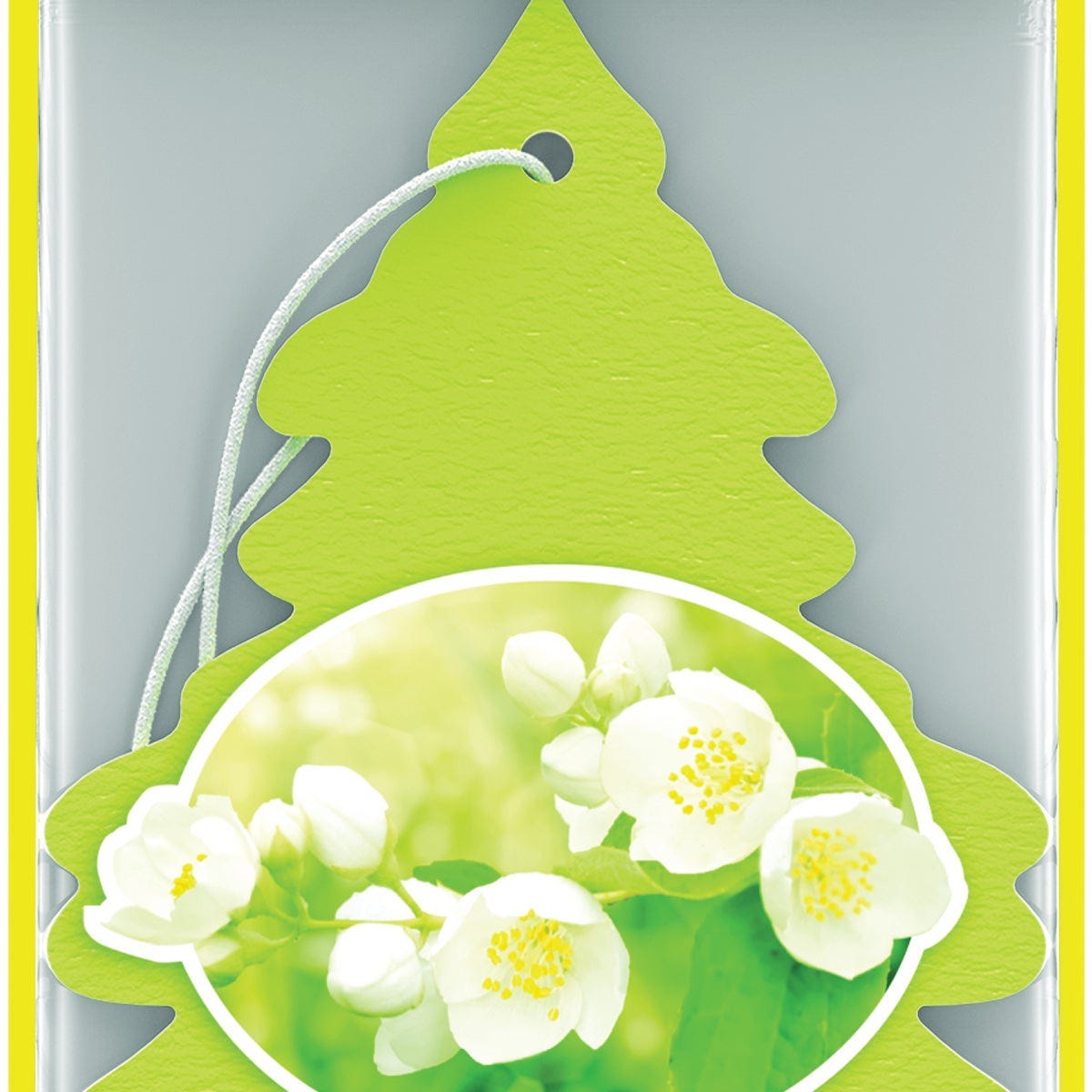 Little Trees Car Air Freshener, Jasmine (3-Pack) Little Trees Car Air Freshener, Jasmine (3-Pack)
