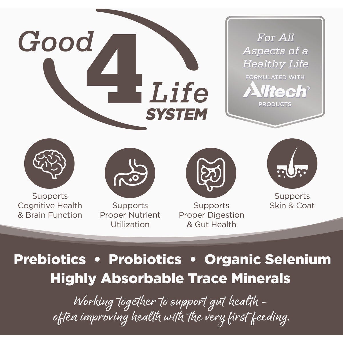 NutriSource 12.3 Oz. High Plains Select Recipe Grain Free Wet Dog Food - photo 2 NutriSource 12.3 Oz. High Plains Select Recipe Grain Free Wet Dog Food - photo 2