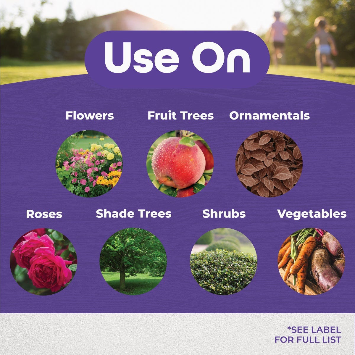 Bonide 32 Oz. Ready To Use Trigger Spray All Season Horticultural & Dormant Spray Oil - photo 2 Bonide 32 Oz. Ready To Use Trigger Spray All Season Horticultural & Dormant Spray Oil - photo 2