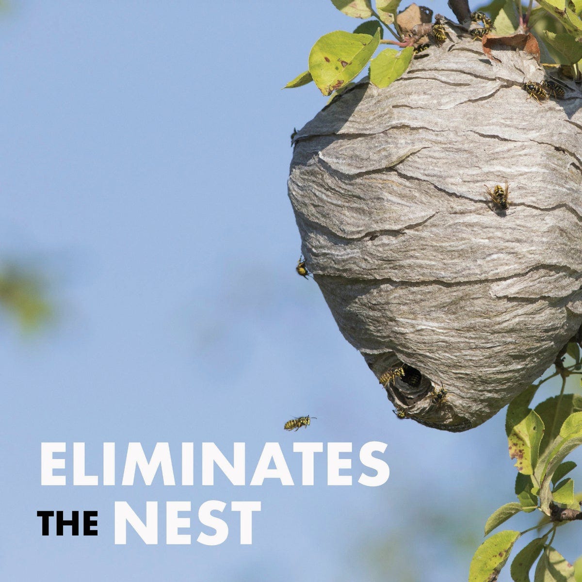 Spectracide 18.5 Oz. Wasp & Hornet Killer3 Aerosol (2-Pack) - photo 5