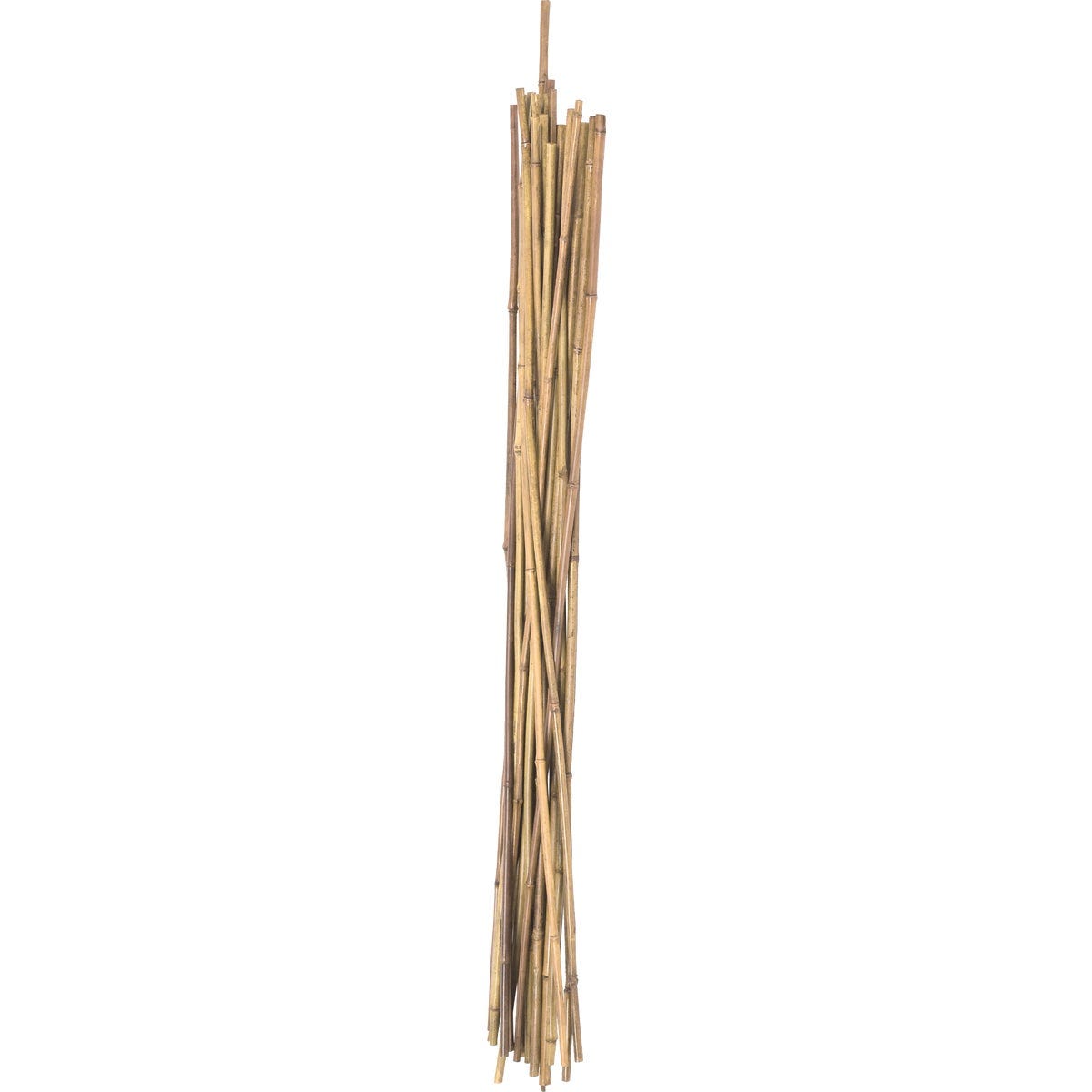 Green Thumb 5 Ft. Bamboo Stake (12-Pack) - photo 2 Green Thumb 5 Ft. Bamboo Stake (12-Pack) - photo 2