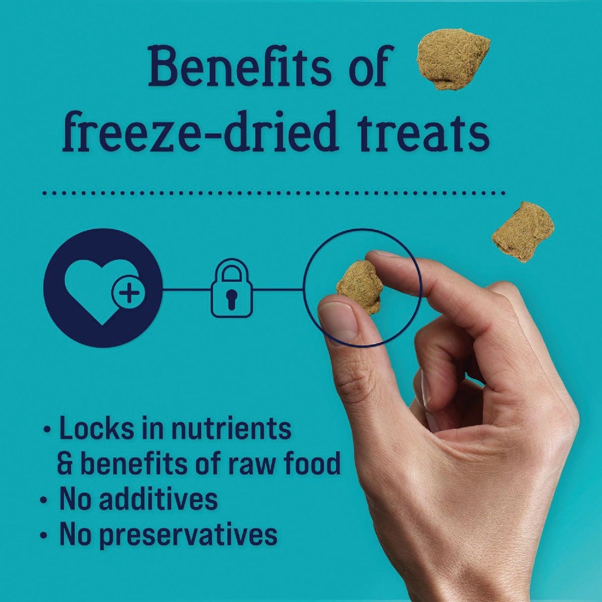 Stewart 4 Oz. Zen Beef & Pumpkin with Passionflower Freeze-Dried Dog Treats - photo 3