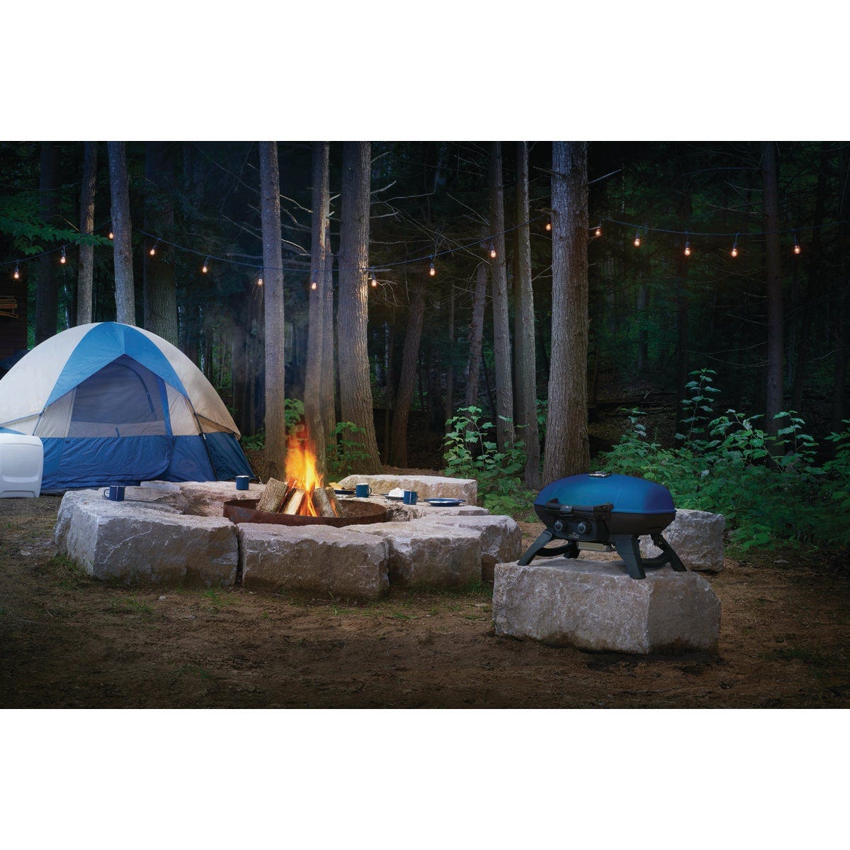 Napoleon TravelQ 285 Portable Propane Gas Grill, Blue - photo 4 Napoleon TravelQ 285 Portable Propane Gas Grill, Blue - photo 4