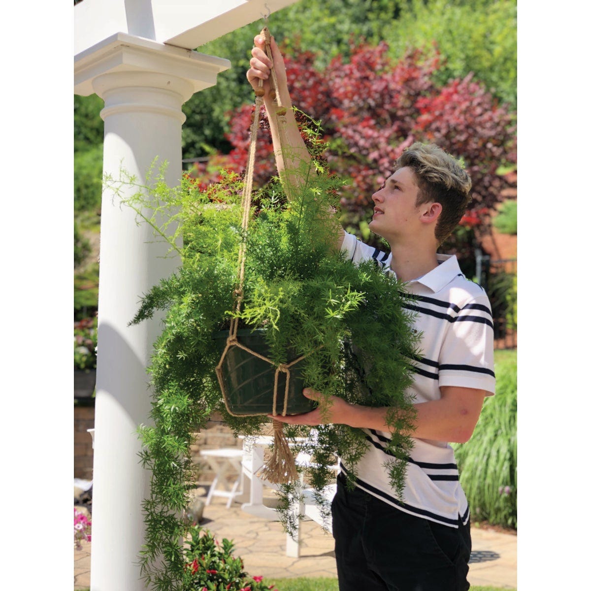 Primitive Planters 36 In. Natural Jute Plant Hanger - photo 4 Primitive Planters 36 In. Natural Jute Plant Hanger - photo 4