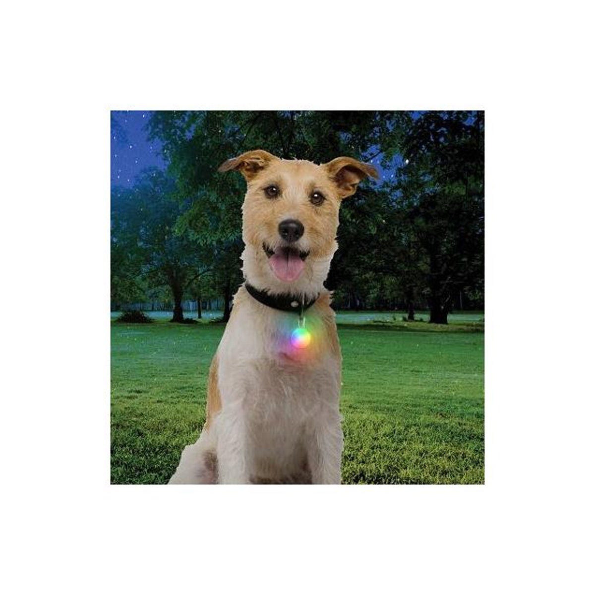 Nite Ize Spotlit Rechargeable Dog Collar Light - photo 4