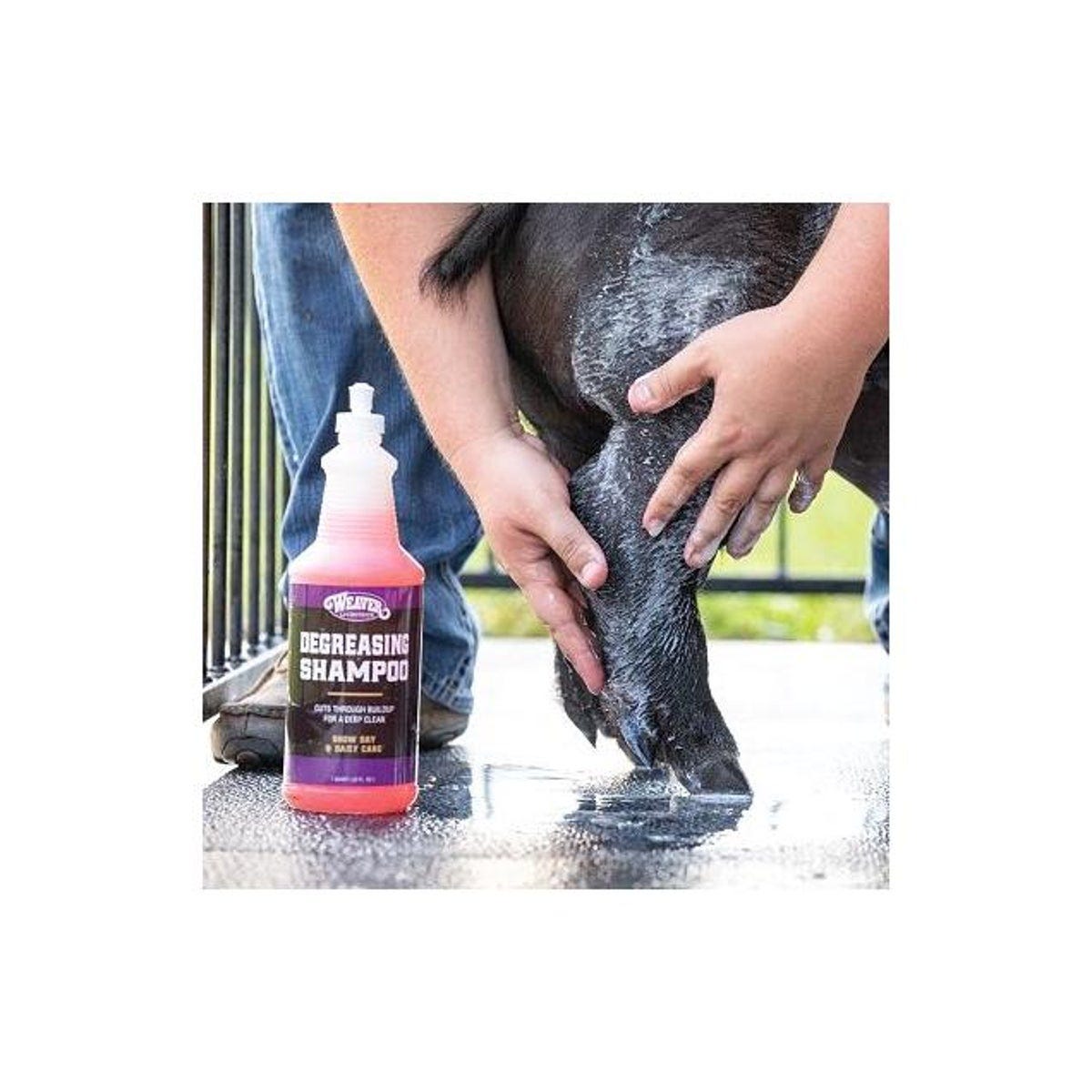 Weaver Leather Qt. Degreasing Livestock Shampoo - photo 2 Weaver Leather Qt. Degreasing Livestock Shampoo - photo 2