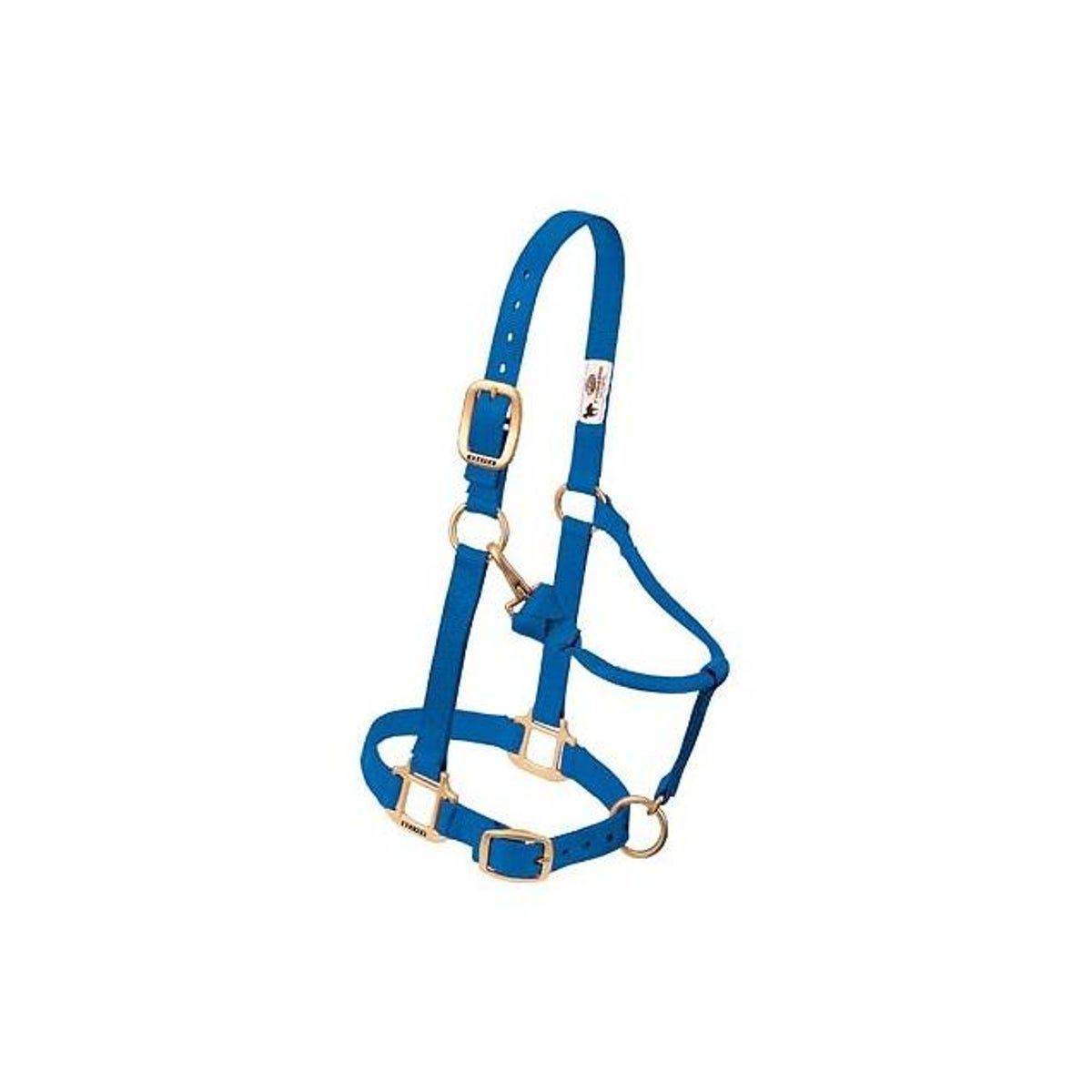 Weaver Leather 3/4 In. Blue Nylon Halter, Pony Weaver Leather 3/4 In. Blue Nylon Halter, Pony