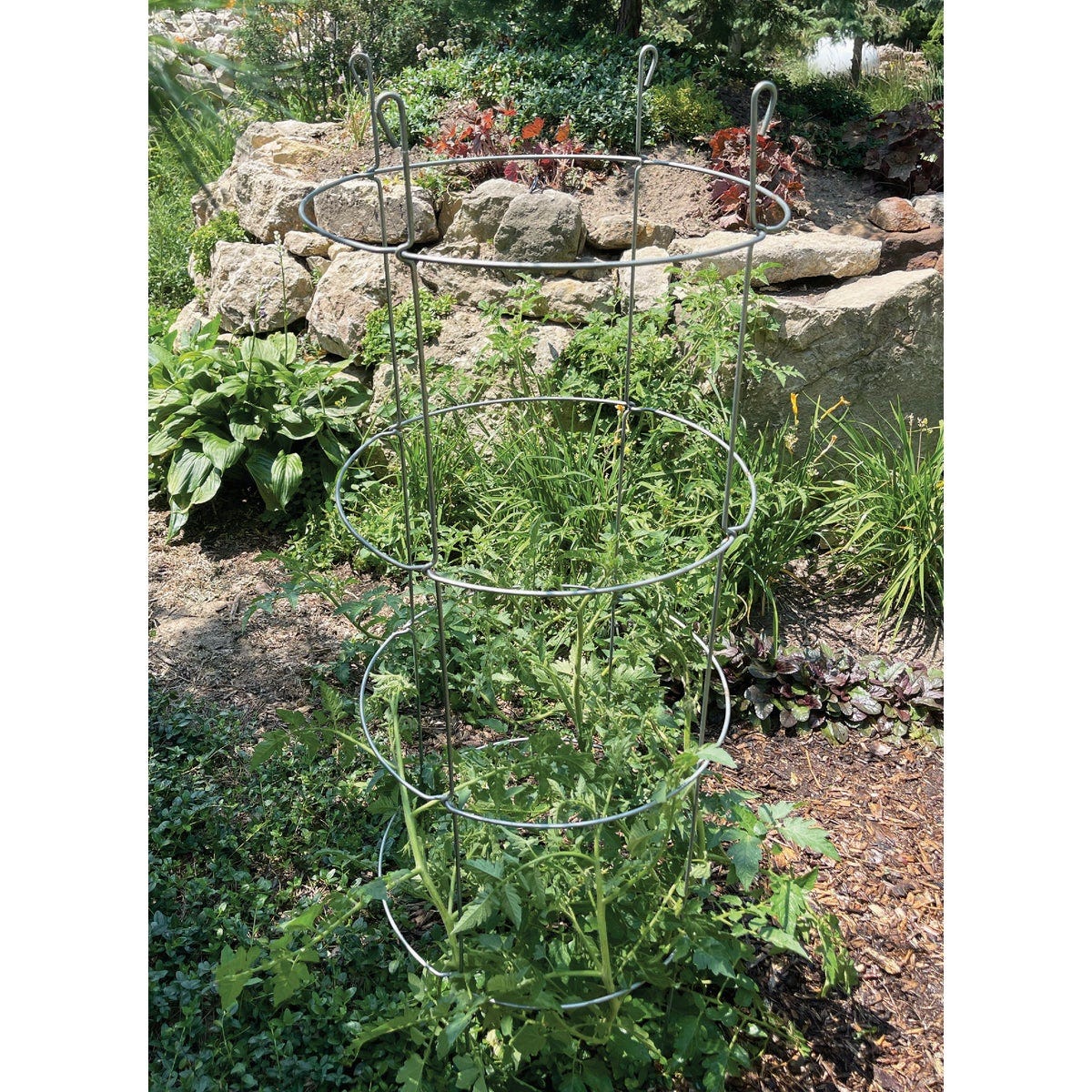 Glamos 54 In. Heavy Duty Collapsible Galvanized Tomato Cage - photo 2