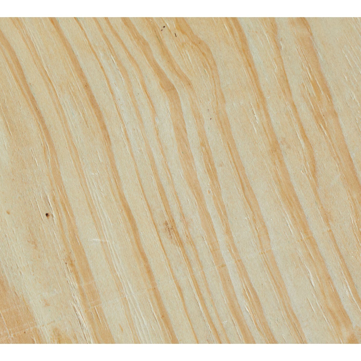 19/32 In. 4 Ft. x 8 Ft. BC Sanded Southern Yellow Pine Plywood - photo 2
