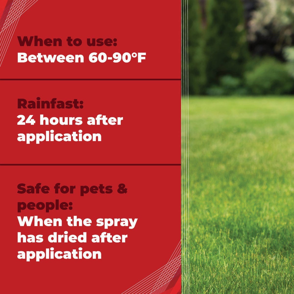 Gordon's Trimec 1 Qt. Concentrate Lawn Weed Killer - photo 5 Gordon's Trimec 1 Qt. Concentrate Lawn Weed Killer - photo 5