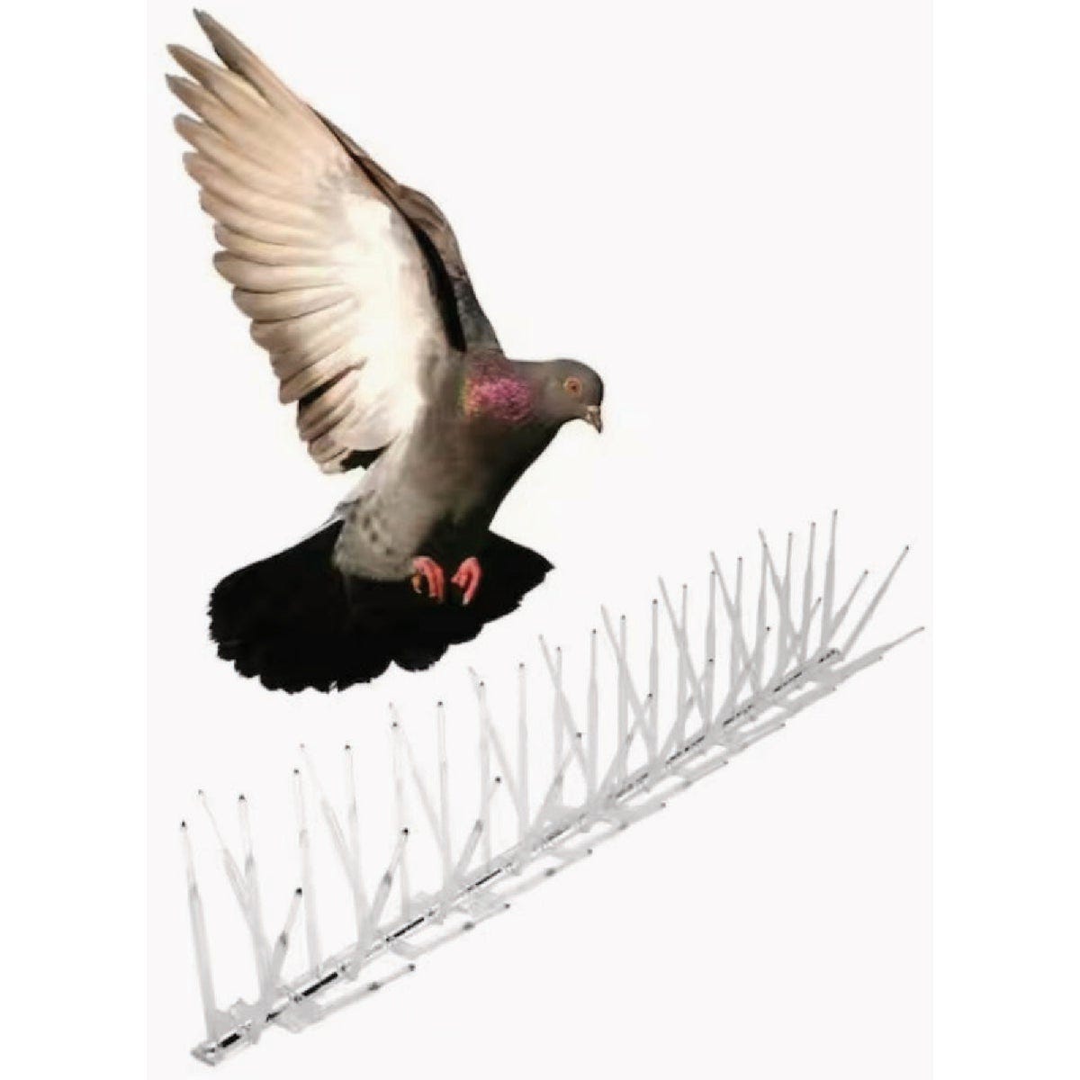 Bird-B-Gone 5 In. x 6 Ft. Plastic Bird Repelling Spikes - photo 4 Bird-B-Gone 5 In. x 6 Ft. Plastic Bird Repelling Spikes - photo 4