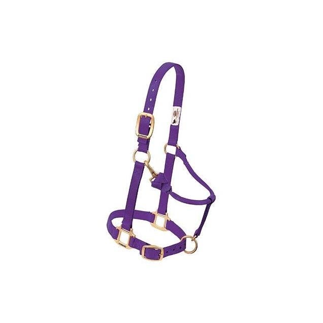 Weaver Leather 1 In. Adjustable Purple Nylon Snap Halter