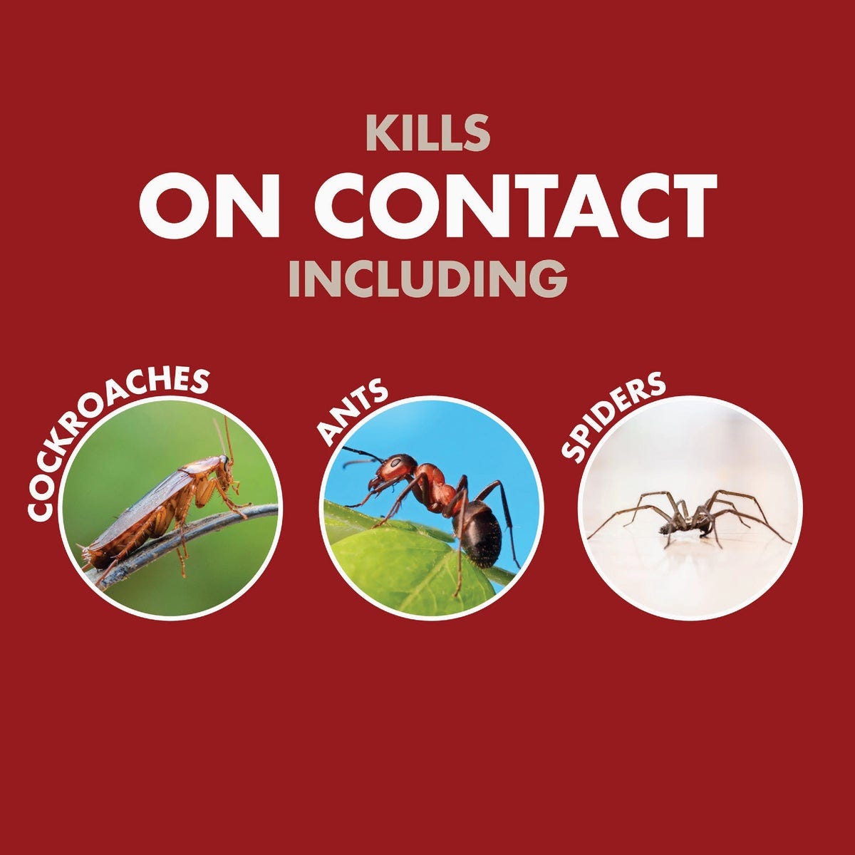 Spectracide Bug Stop Home Barrier 1 Gal. Ready To Use Trigger Spray Insect Killer - photo 6 Spectracide Bug Stop Home Barrier 1 Gal. Ready To Use Trigger Spray Insect Killer - photo 6