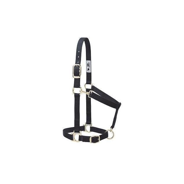 Weaver Leather Adjustable Black Nylon Horse Halter, Average Size Horse