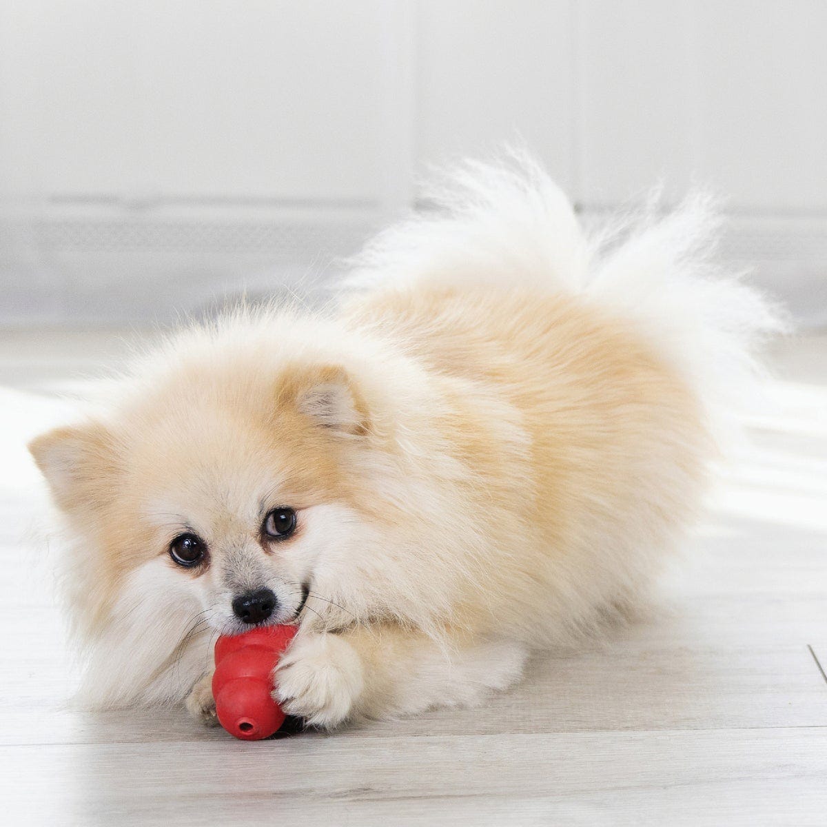 Kong Classic Dog Chew Toy, Up to 20 Lb. - photo 4 Kong Classic Dog Chew Toy, Up to 20 Lb. - photo 4