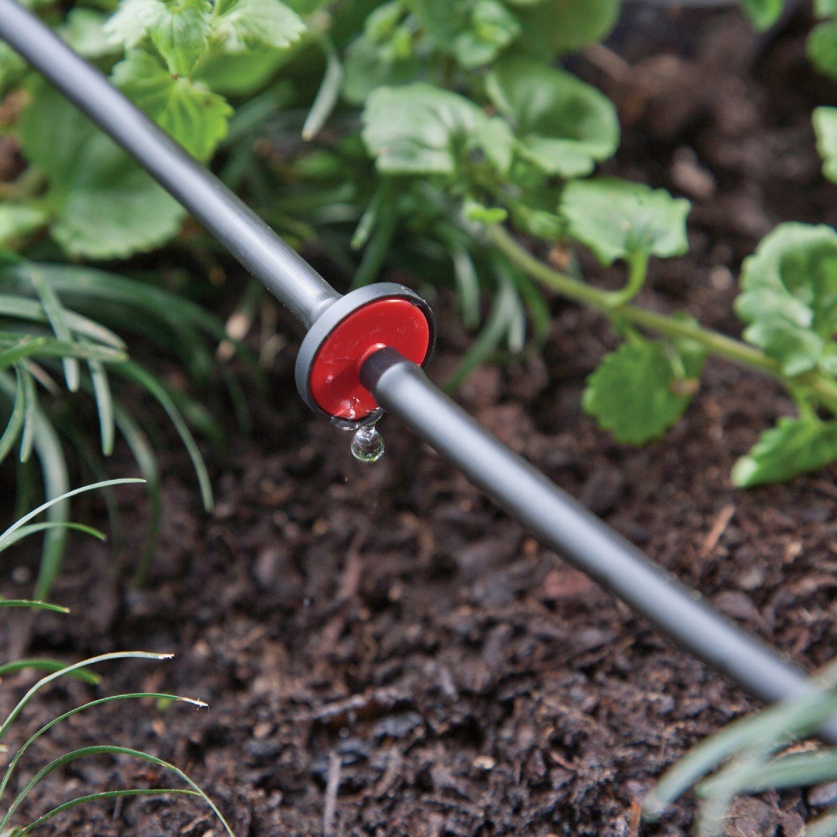 Raindrip 0.50 GPH Spot Drip Irrigation Mini In-Line Dripper (25-Pack) - photo 4 Raindrip 0.50 GPH Spot Drip Irrigation Mini In-Line Dripper (25-Pack) - photo 4