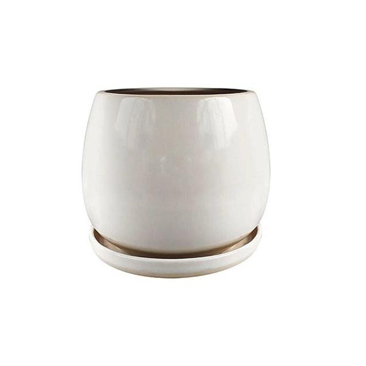Trendspot 8 In. Cream White Ceramic Artisan Planter Trendspot 8 In. Cream White Ceramic Artisan Planter