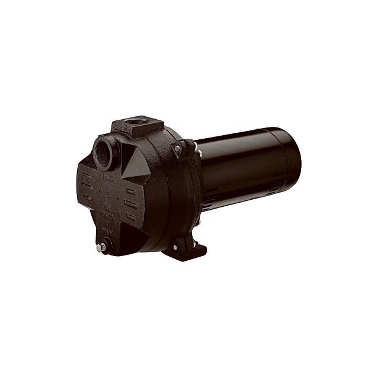 Master Plumber 2 HP Cast Iron Sprinkler Pump