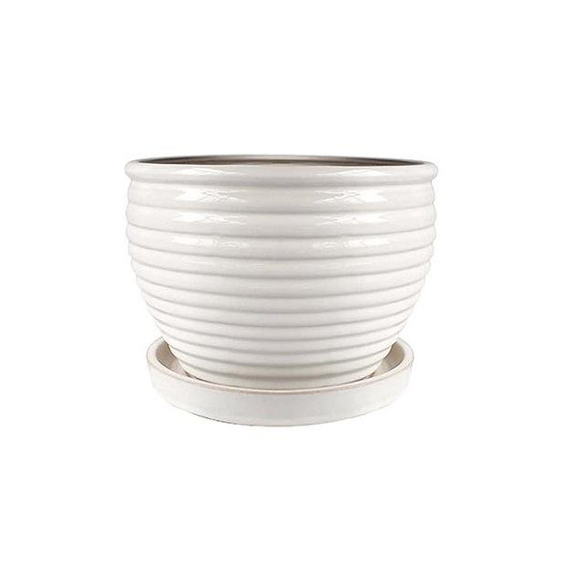 Trendspot 6 In. White Ceramic Honey Jar Planter Trendspot 6 In. White Ceramic Honey Jar Planter