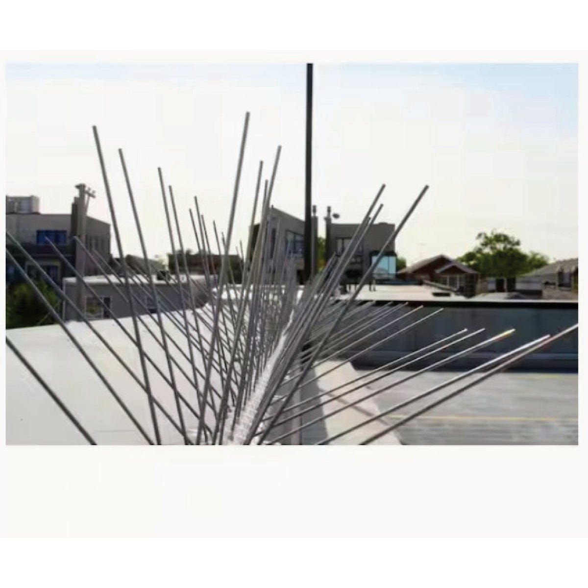 Bird-B-Gone 5 In. x 50 Ft. Stainless Steel Bird Repelling Spikes - photo 4