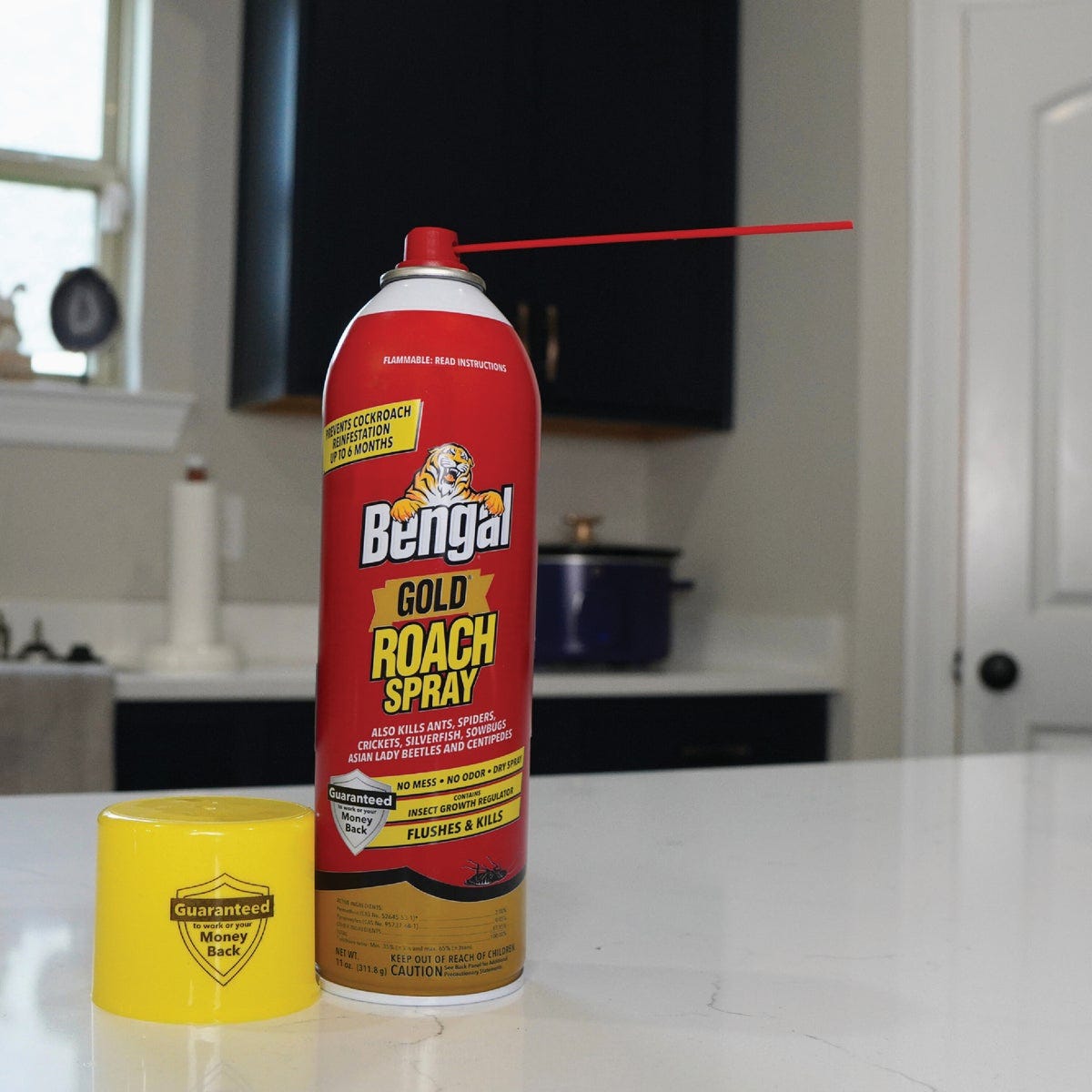 Bengal Gold 11 Oz. Aerosol Spray Roach Killer - photo 2 Bengal Gold 11 Oz. Aerosol Spray Roach Killer - photo 2