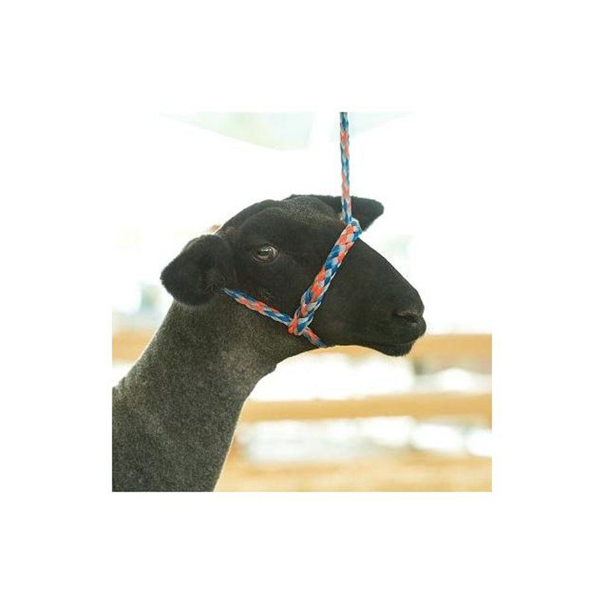Weaver Leather Poly Rope Adjustable Sheep/Goat Halter - photo 2
