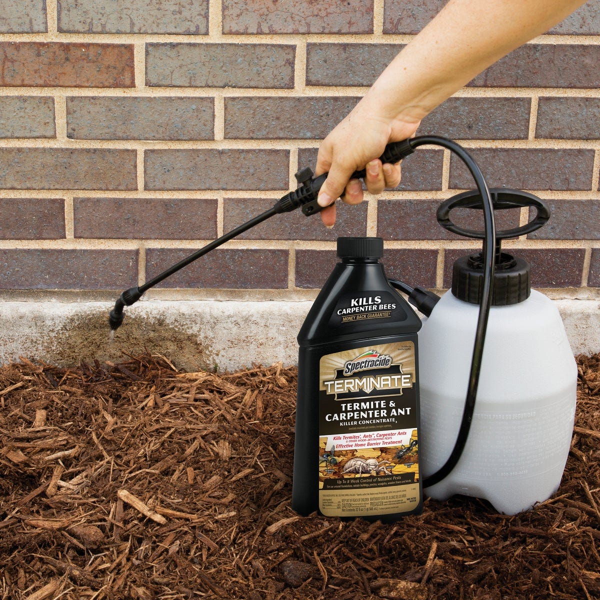 Spectracide Terminate 32 Oz. Concentrate Carpenter Ant & Termite Killer - photo 3 Spectracide Terminate 32 Oz. Concentrate Carpenter Ant & Termite Killer - photo 3