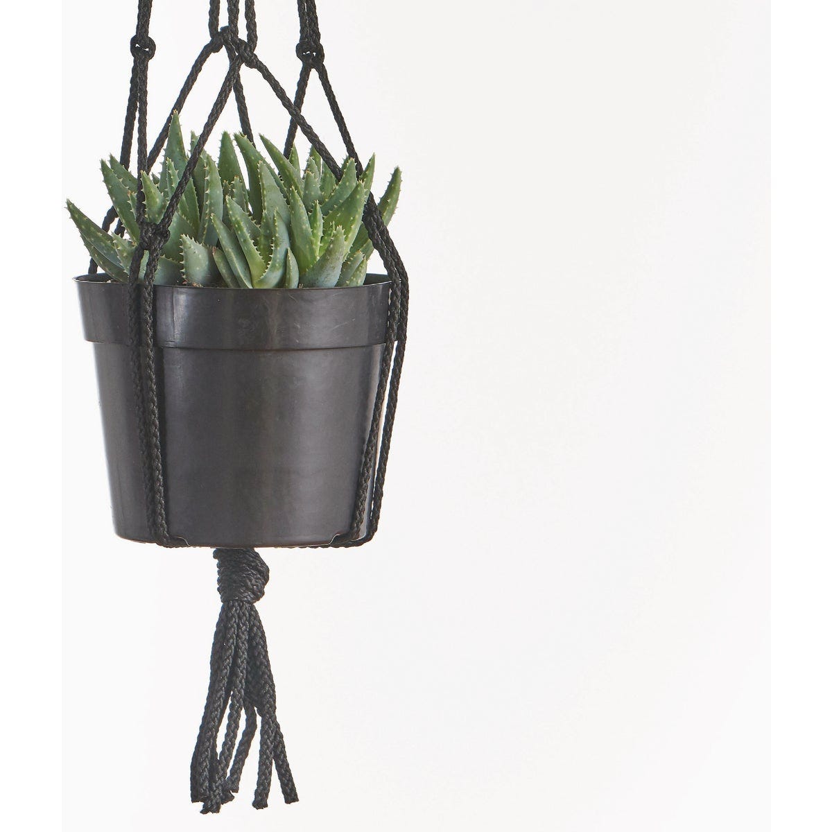 Primitive Planters 36 In. Macrame Plant Hanger - photo 5 Primitive Planters 36 In. Macrame Plant Hanger - photo 5