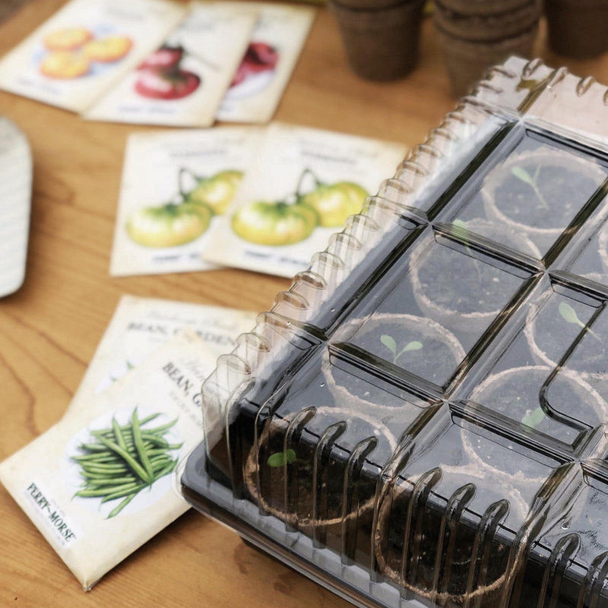 Jiffy 22 In. W. x 11 In. L. Seed Starter Greenhouse Dome - photo 3