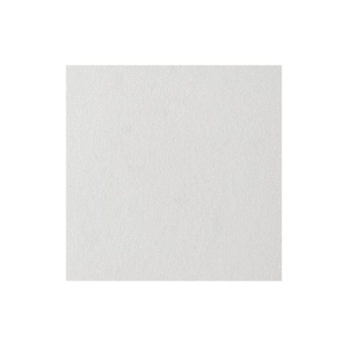 USG Interiors 12 x 12 In. White Ceiling Tile